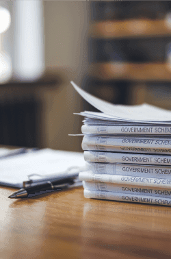 Government Incentives and Subsidies